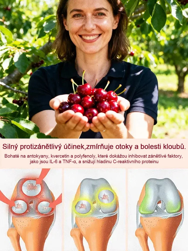 【Lze vysazovat ve všech ročních obdobích】Dovezená semena chilské třešně✨️Míra přežití je 99,99 %