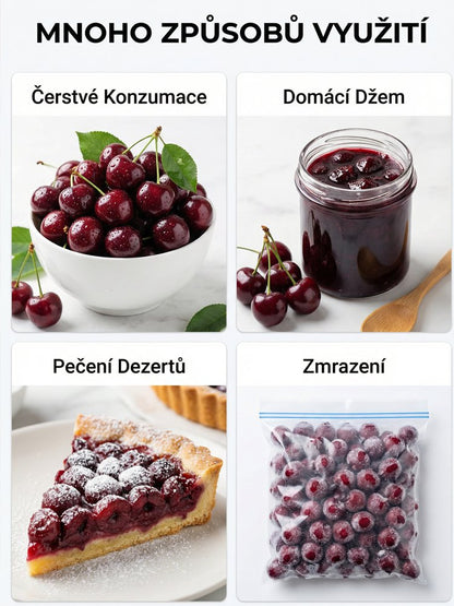 【Lze vysazovat ve všech ročních obdobích】Dovezená semena chilské třešně✨️Míra přežití je 99,99 %